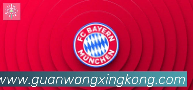 星空体育官网入口合作伙伴